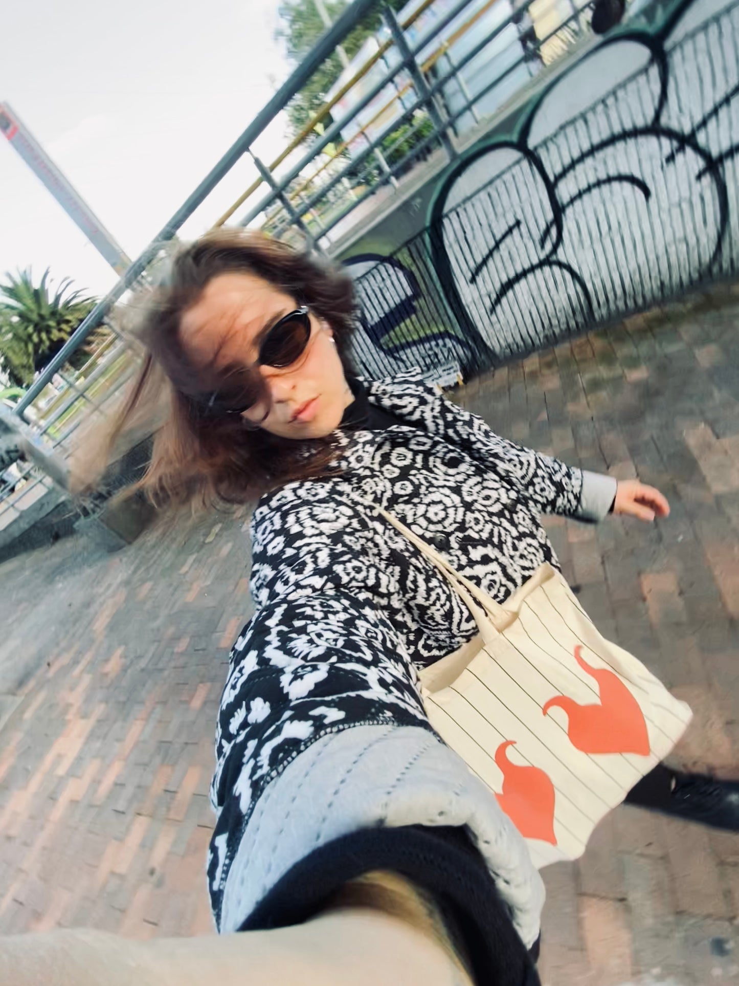 Tote Bag 'el diablo'